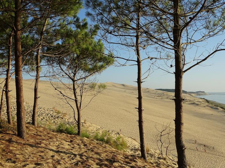 Logement Sympa Entree Independante Pres Bordeaux 10Kms Tresses Εξωτερικό φωτογραφία